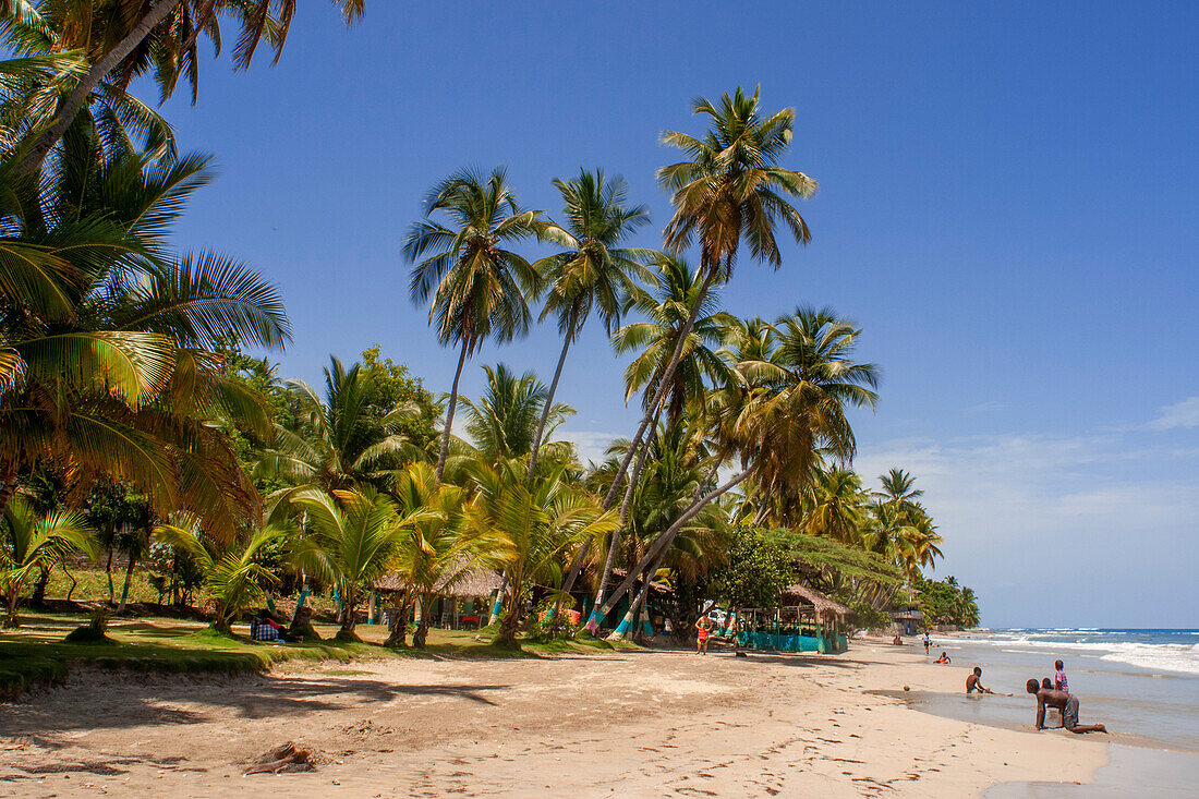 Palmen am Strand Plage de Ti Mouillage in Cayes-de-Jacmel, Cayes de Jacmel, Jacmel, Haiti.