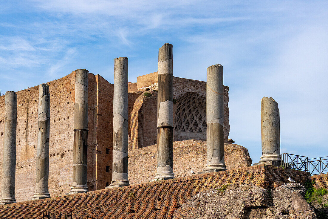 Columns along the Via Sacra & Temple of Venus and Roma. Colosseum Archaeological Park. Rome, Italy.