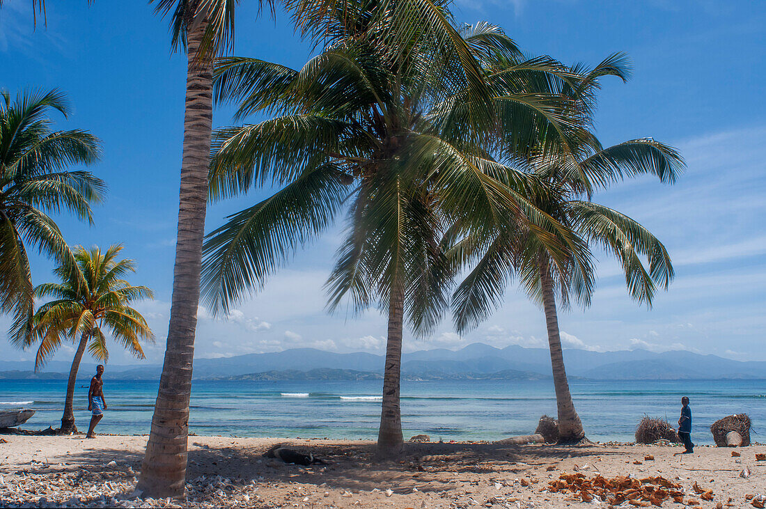 Palmen am Strand von Cayes-à-Leau, einem Fischerinselchen nordöstlich von Caye Grand Gosie, Île-à-Vache, Provinz Sud, Haiti