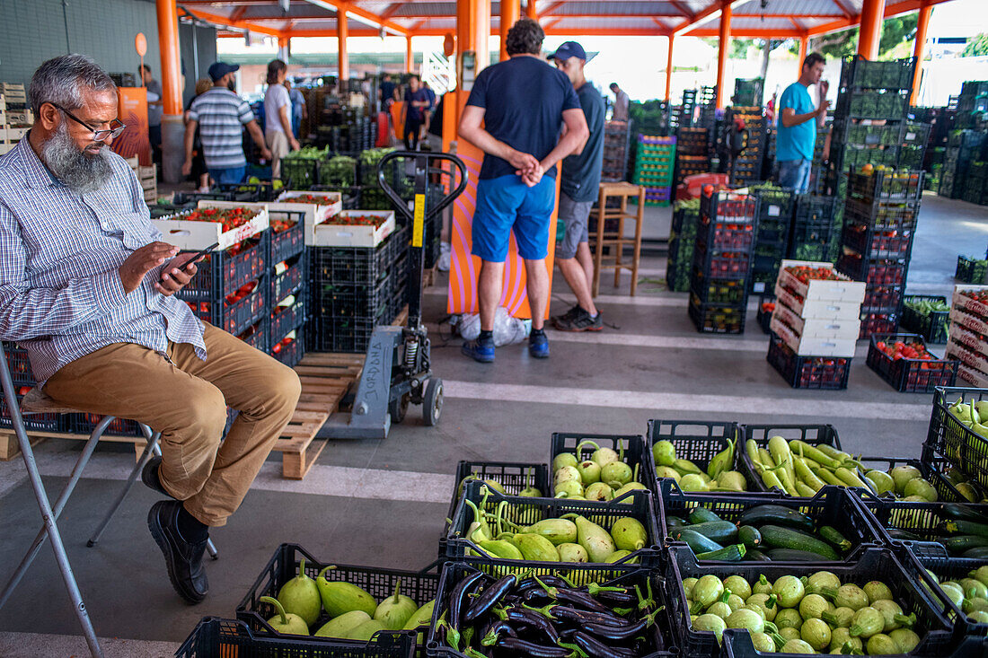 Katalanische Landwirte auf dem Großmarkt in Mercabarna Obst- und Gemüseabteilung in Mercabarna. Barcelonas zentrale Märkte. Barcelona. Spanien