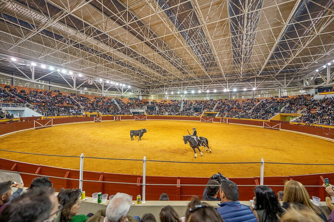 Plaza de Toros, Illescas, Toledo, Virgen de la Caridad, Spain