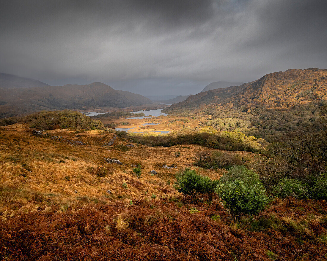 Blick auf Tal und Seen, Lady's View, Killarney, Grafschaft Kerry, Munster, Republik Irland