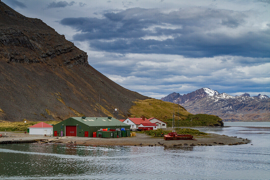 Ansichten von King Edward Point in der Nähe der Walfangstation von Grytviken auf Südgeorgien im Südatlantik