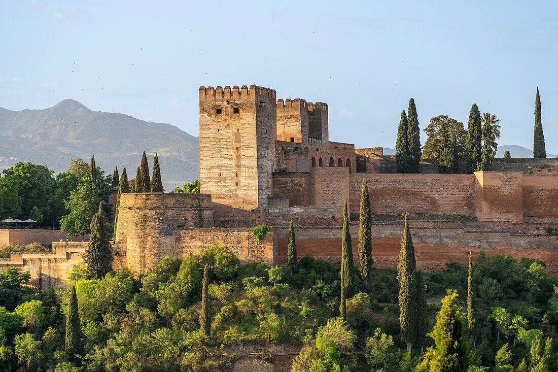 Blick vom Mirador de San Nicolas auf die Alhambra, UNESCO, Mudéjar-Architektur, Granada, Andalusien, Spanien