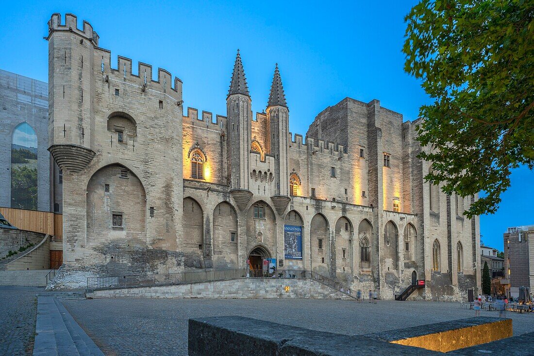 Palace of the Popes, UNESCO, Avignon, Provence-Alpes-Cote d'Azur, Rhone Valley, France