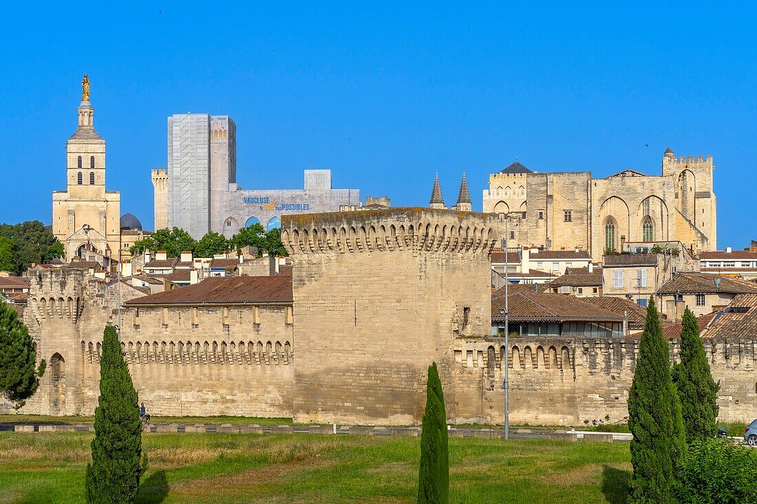 Palace of the Popes, UNESCO, Avignon, Provence-Alpes-Cote d'Azur, Rhone Valley, France