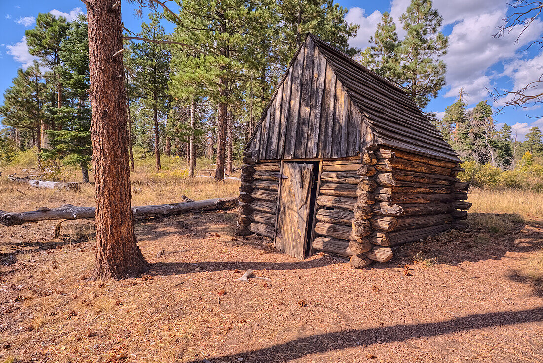 Die historische Salt Cabin aus den 1870er Jahren in der Nähe des Greenland Lake am Grand Canyon North Rim, UNESCO, Arizona, Vereinigte Staaten von Amerika