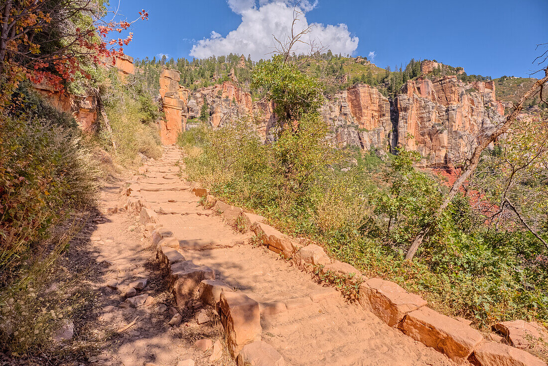 Die 18. Serpentine auf dem North Kaibab Trail am Grand Canyon North Rim, UNESCO, Arizona, Vereinigte Staaten von Amerika