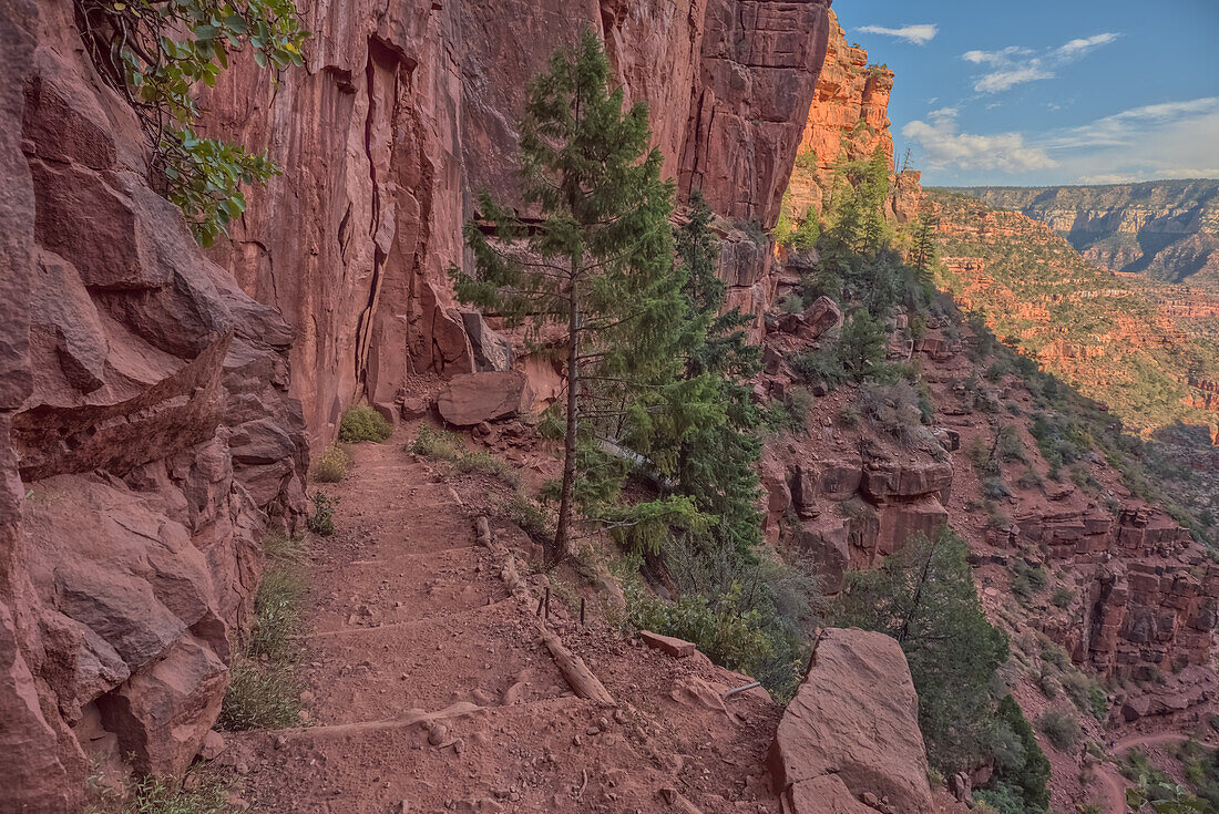 Die Rote Wand aus Sandstein östlich des Supai-Tunnels am North Kaibab Trail, Grand Canyon North Rim, UNESCO, Arizona, Vereinigte Staaten von Amerika