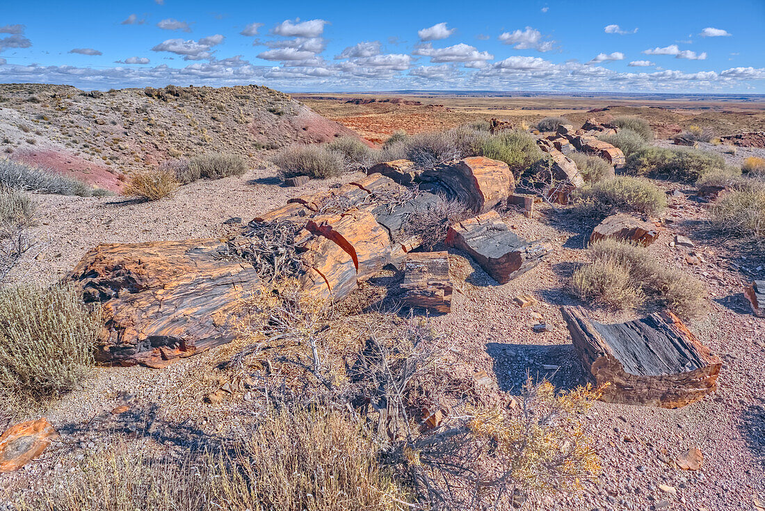 Pieces of petrified wood on hills overlooking Dead Wash, Petrified Forest National Park, Arizona, United States of America