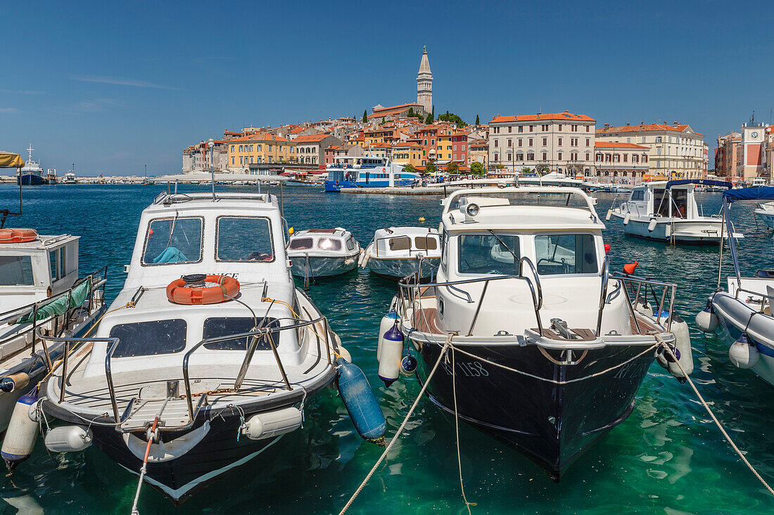 Blick über den Hafen auf die Altstadt mit der Kathedrale der Hl. Euphemia, Rovinj, Istrien, Kroatien