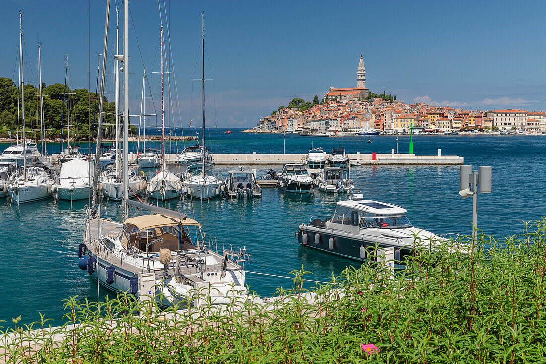 Blick vom neuen Hafen auf die Altstadt mit der Kathedrale der Hl. Euphemia, Rovinj, Istrien, Kroatien