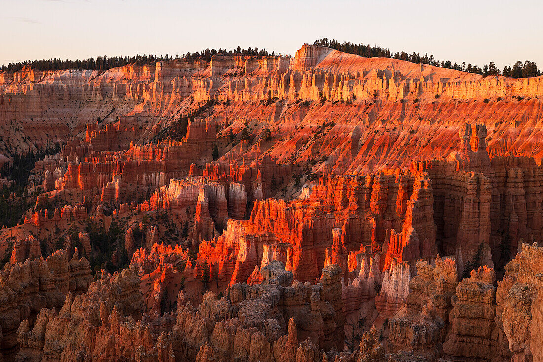 Warmes Licht umhüllt die majestätische Felsformation im Bryce Canyon National Park an einem Sommertag, Utah, Vereinigte Staaten von Amerika