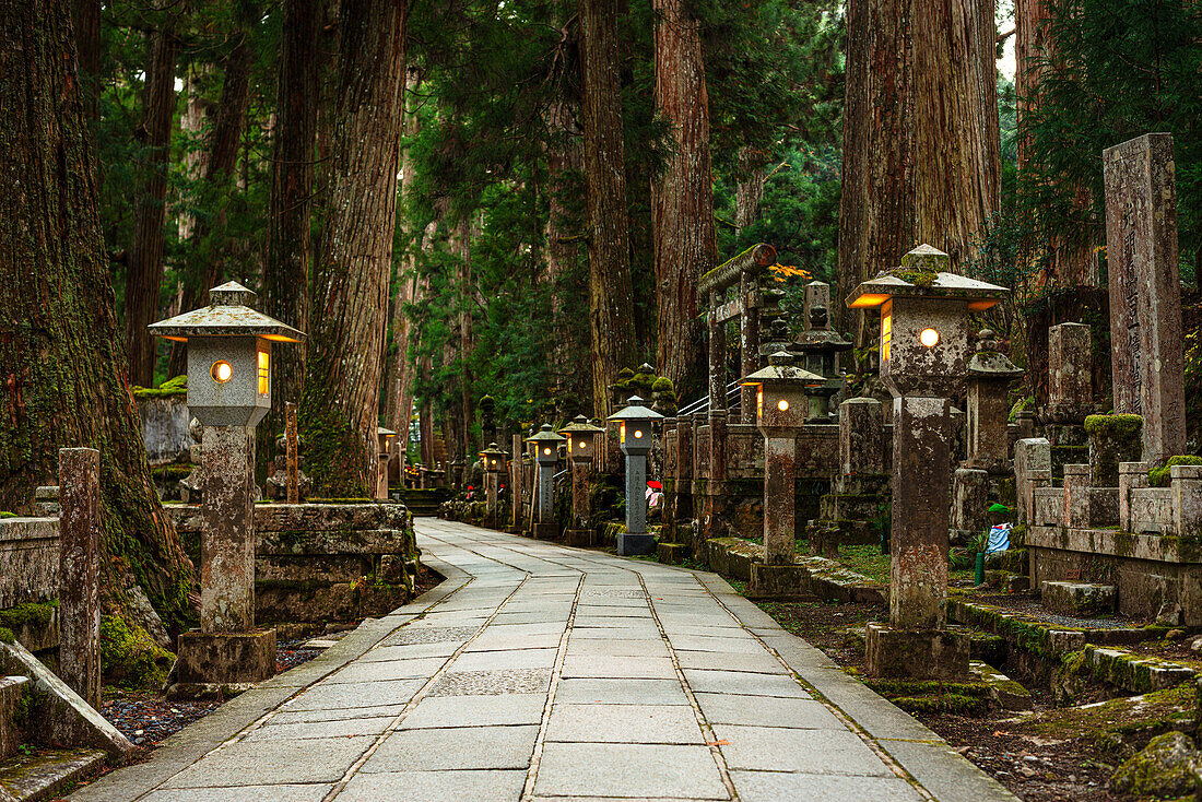 Stone lanterns in deep forest, Buddhist cemetery of Oku-no-in, Koyasan (Koya-san), Kansai, Honshu, Japan