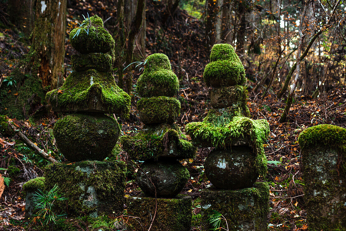 Alte bemooste Steinlaternen, buddhistischer Friedhof von Oku-no-in, Koyasan (Koya-san), Kansai, Honshu, Japan