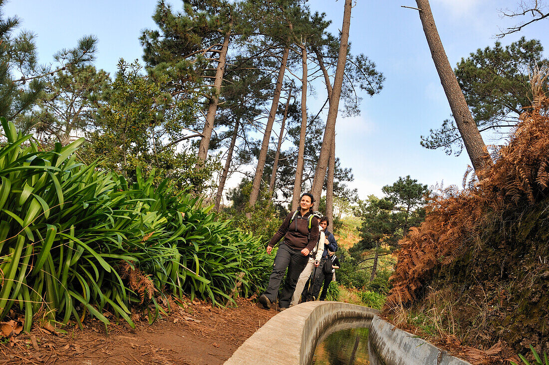 Path along a levada, Prazeres, Madeira island, Atlantic Ocean, Portugal