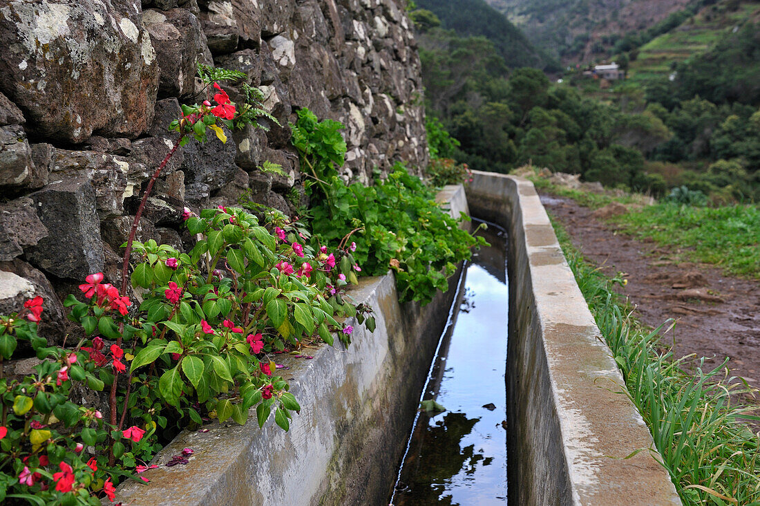 Levada (Aquädukt) auf den Höhen von Machico, Insel Madeira, Atlantischer Ozean, Portugal