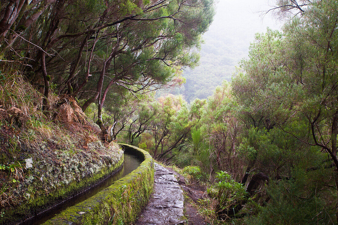 Rabacal levada Spaziergang zum 25 Fountains cirque, Insel Madeira, Atlantischer Ozean, Portugal