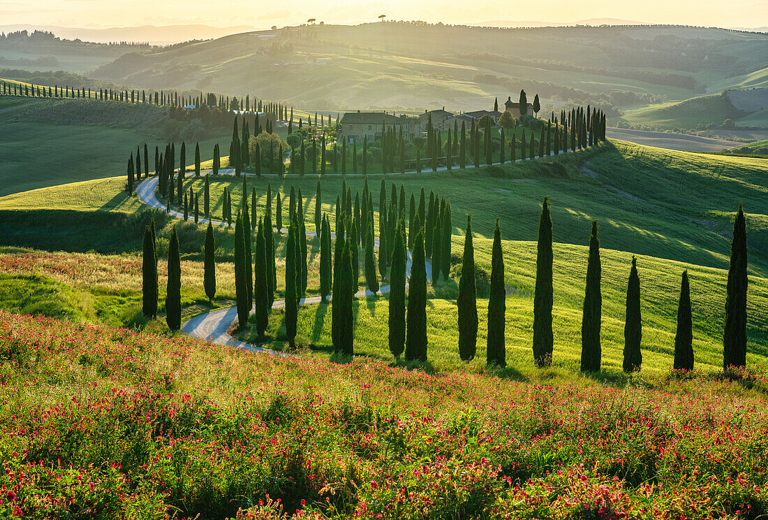 Evening light over Podere Baccoleno, Crete Senesi, Tuscany, Italy