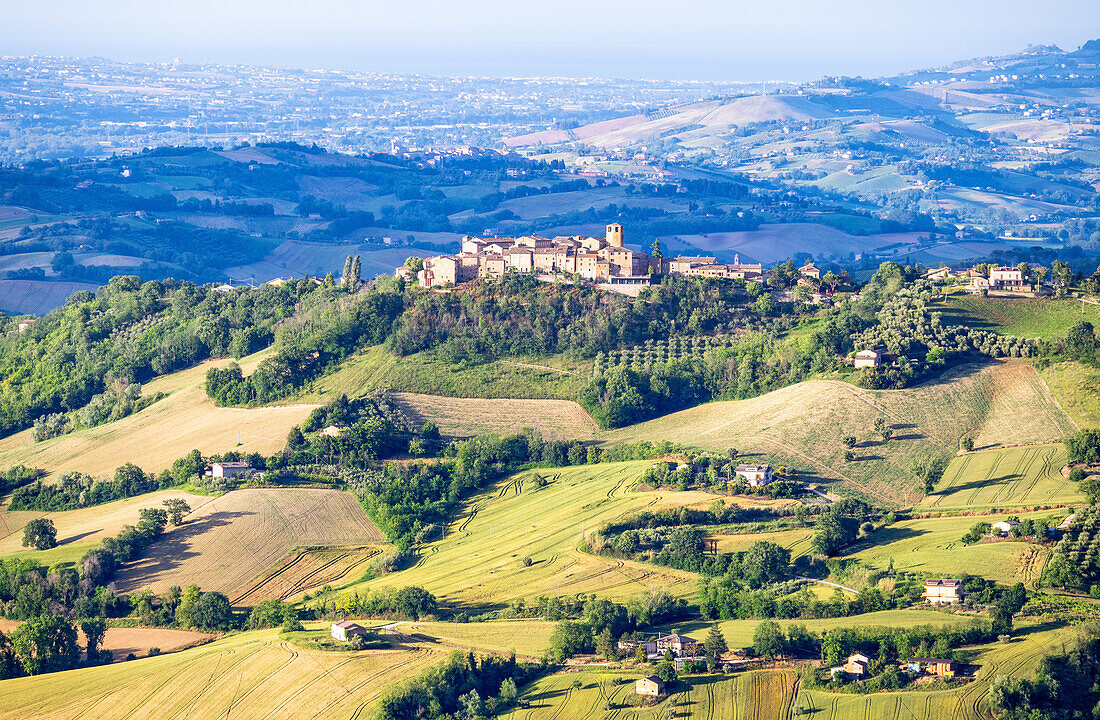 View towards hilltop village of Monteleone di Fermo and the surrounding countryside, Marche, Italy