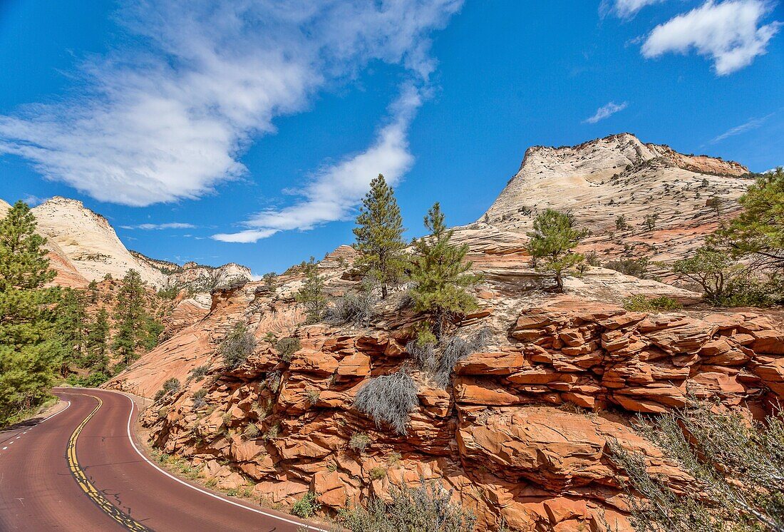 East Zion National Park, wo sich der Highway 9 zwischen dem Zion-Mount Carmel Tunnel und Checkerboard Mesa windet, Utah, Vereinigte Staaten von Amerika