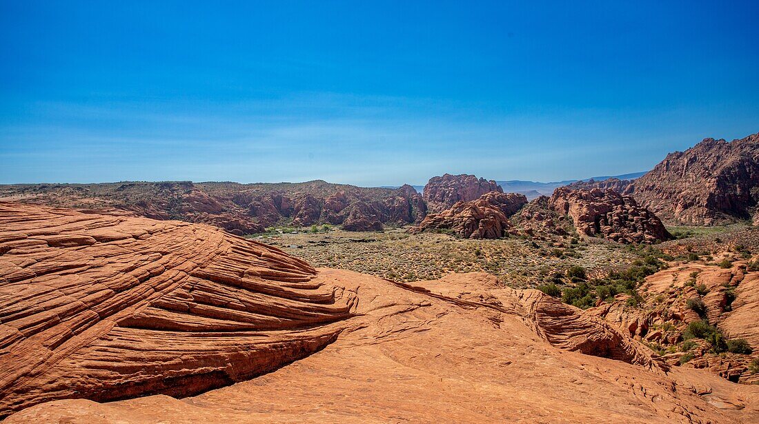 Versteinerte Sanddünen, White Canyon State Park, Red Cliffs Desert Reserve bei St. George, Utah, Vereinigte Staaten von Amerika