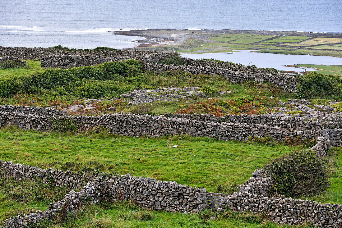 Enclosures with dry stone walls, Inishmore, largest of the Aran Islands, Galway Bay, County Galway, Connacht, Republic of Ireland