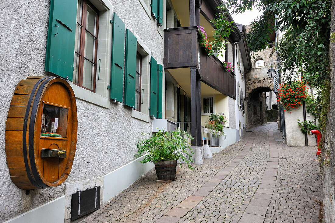 Mittelalterliches Dorf Saint-Saphorin inmitten der Weinbergterrassen des Lavaux am Ufer des Lac Léman, in der Nähe von Lausanne, Kanton Waadt, Schweiz