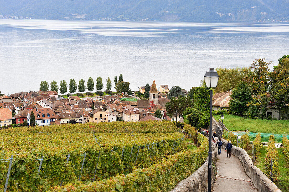 Dorf Cully in den Weinbergterrassen des Lavaux am Ufer des Lac Léman, in der Nähe von Lausanne, Kanton Waadt, Schweiz