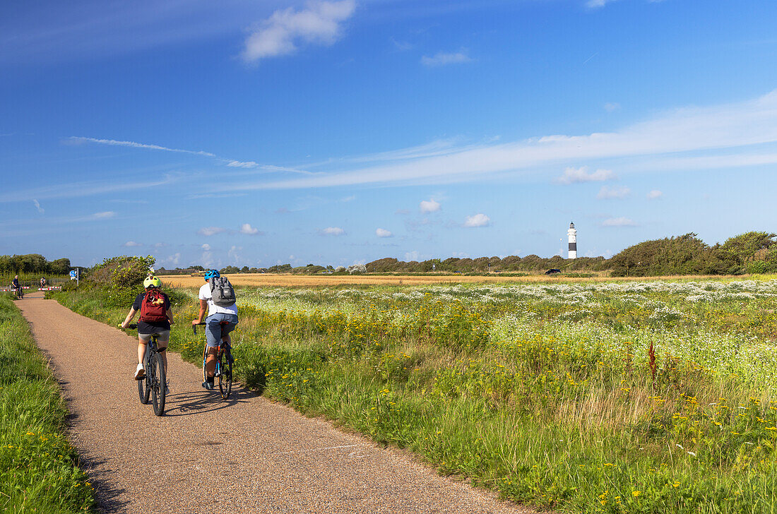 Radfahrer auf Radweg, Wenningstedt, Sylt, Schleswig Holstein, Deutschland, Europa