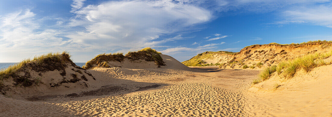 Sand dunes at Red Cliffs (Rotes Kliff), Kampen, Sylt, Schleswig Holstein, Germany, Europe