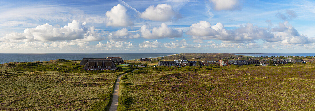 Heather and sand dunes, Kampen, Sylt, Schleswig Holstein, Germany, Europe