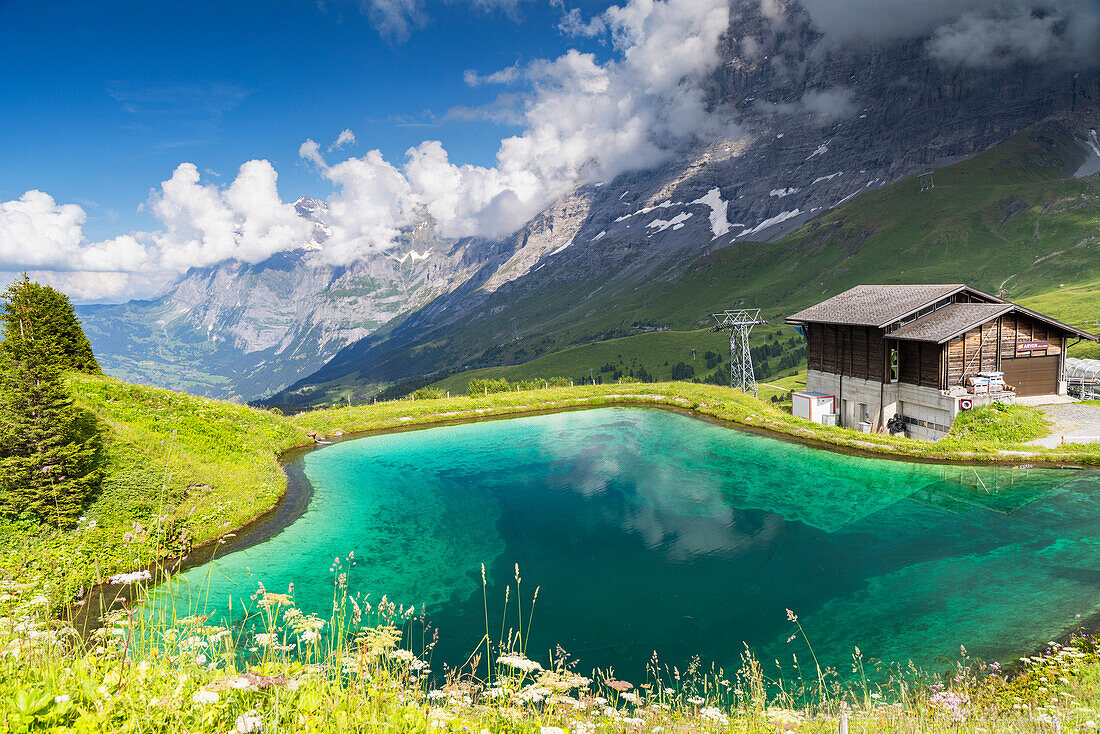 Pond at Kleine Scheidigg, Jungfrau Region, Bernese Oberland, Switzerland