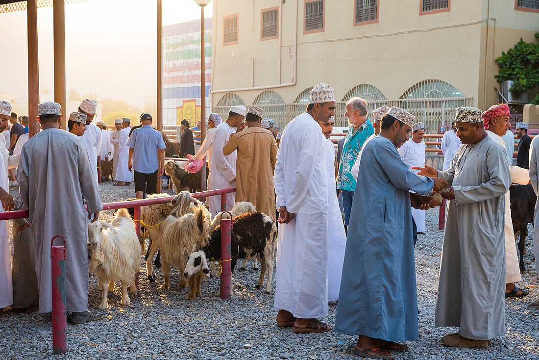 Viehauktionsmarkt am Freitagmorgen in Nizwa, Region Ad Dakhiliyah, Sultanat Oman, Arabische Halbinsel