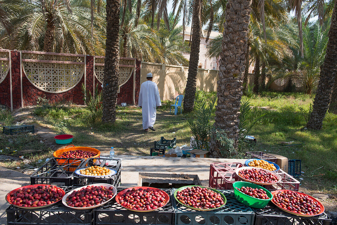 Zum Verkauf angebotene Datteln am Straßenrand bei Nakhal, Sultanat Oman, Arabische Halbinsel