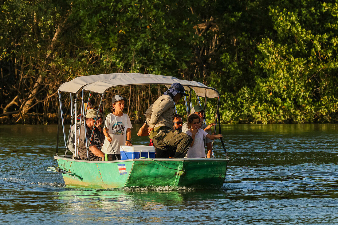 Tourists on boat trip through mangrove fringed Nosara River estuary and Biological Reserve at sunset, Boca Nosara, Nosara, Guanacaste, Costa Rica