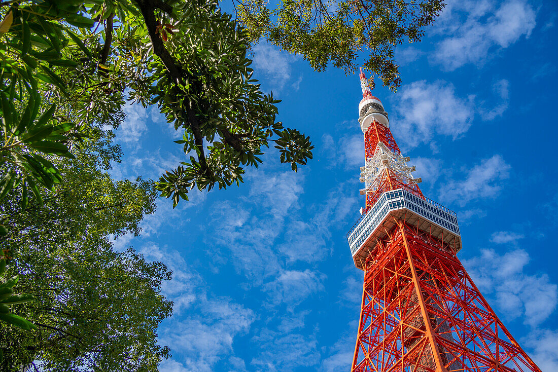 View of Tokyo Tower from its base against blue sky, Shibakoen, Minato City, Tokyo, Honshu, Japan