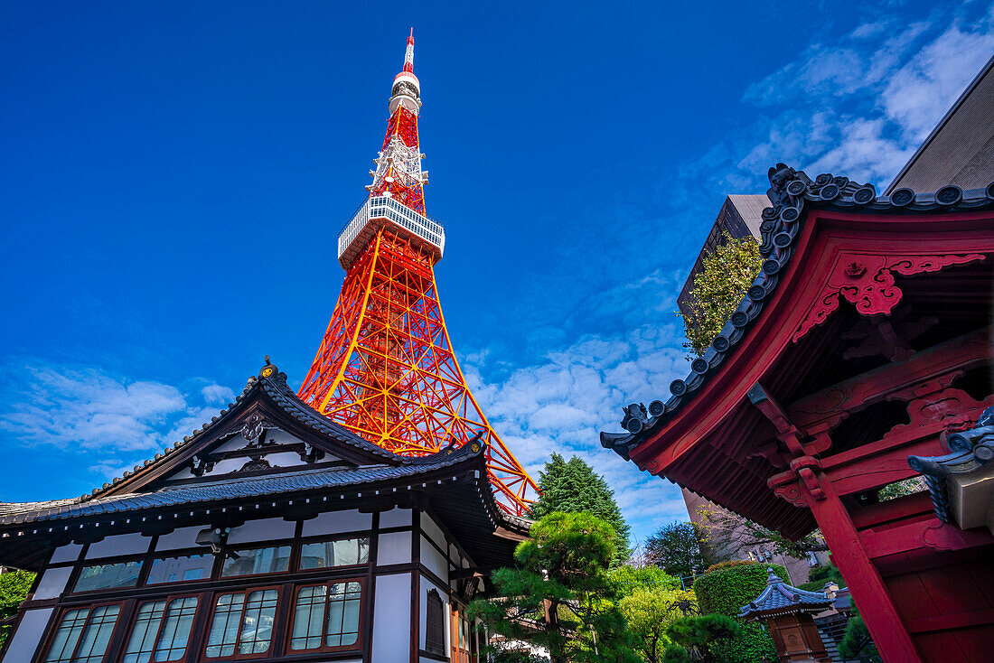 View of Tokyo Tower and Shinkoin Buddhist Temple against blue sky, Shibakoen, Minato City, Tokyo, Honshu, Japan