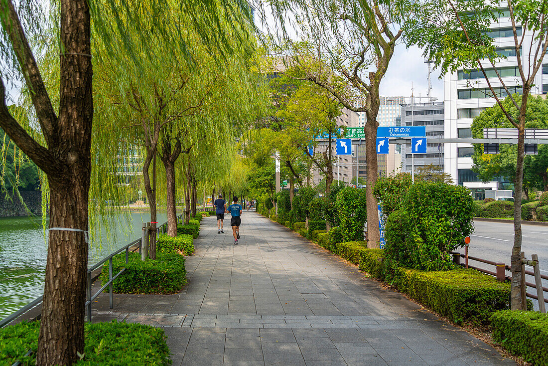 View of runners near Ote-bori Moat, The East Gardens of the Imperial Palace, on a sunny day, Chiyoda, Tokyo, Honshu, Japan