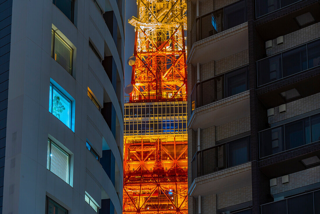 View of Tokyo Tower and city buildings at night, Minato City, Tokyo, Honshu, Japan