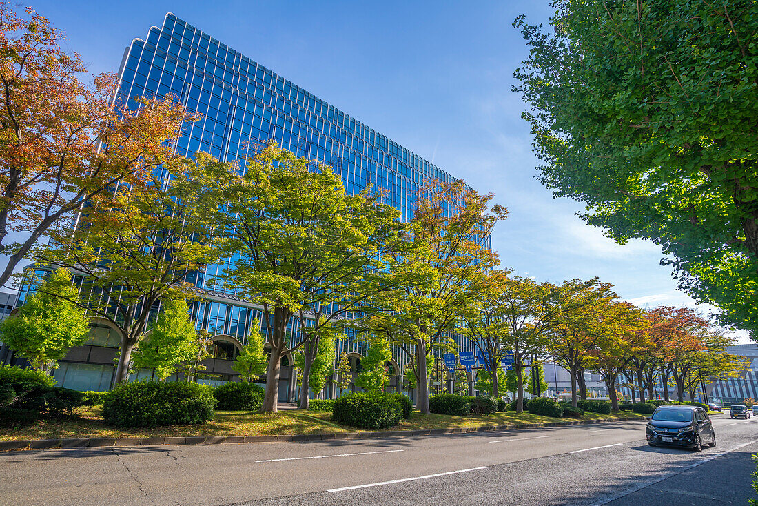 Blick auf bunte Bäume, die sich im Herbst vor modernen Gebäuden drehen, Kanazawa City, Präfektur Ishikawa, Honshu, Japan