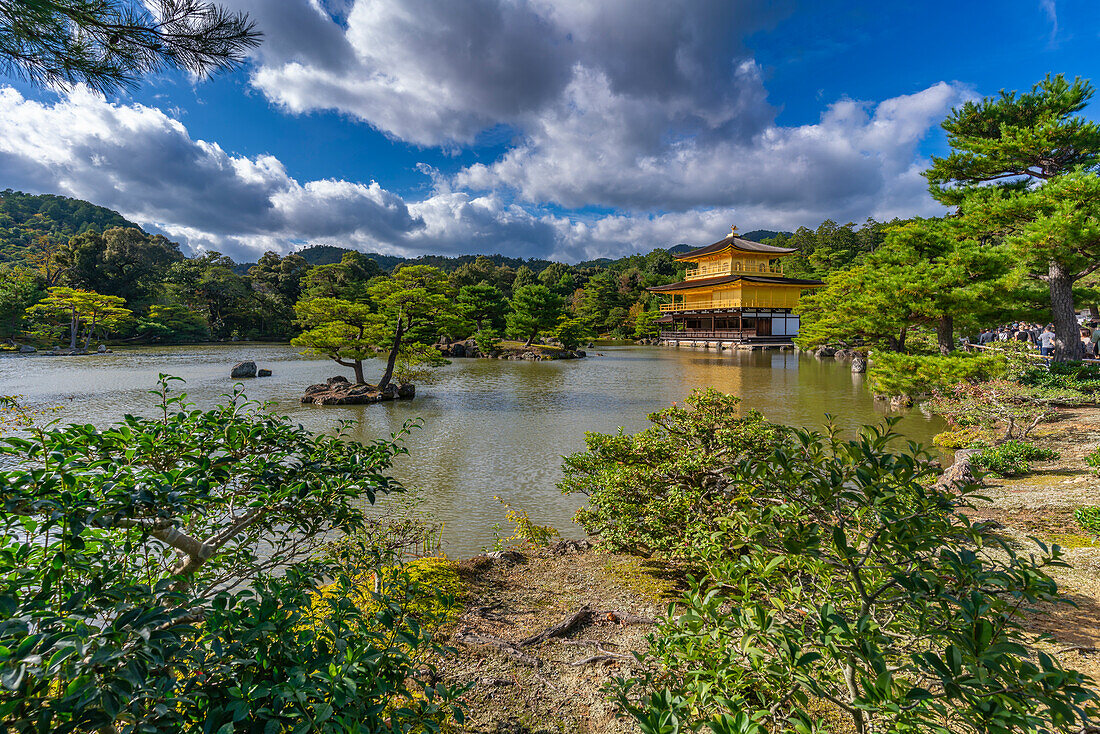 View of Golden Temple (Kinkaku-ji) (Temple of the Golden Pavilion), UNESCO, Kyoto, Honshu, Japan