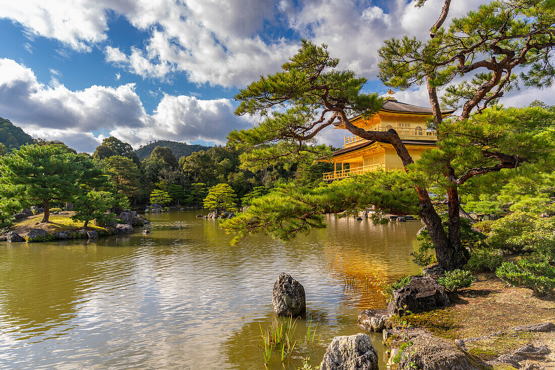 Ansicht des Goldenen Tempels (Kinkaku-ji) (Tempel des Goldenen Pavillons), UNESCO, Kyoto, Honshu, Japan