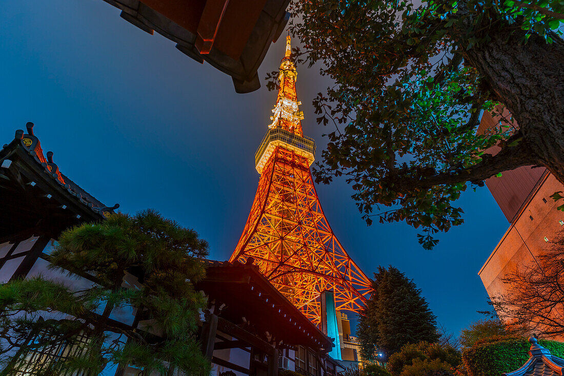 View of Tokyo Tower and Rurikoji Buddhist Temple at night, Minato City, Tokyo, Honshu, Japan