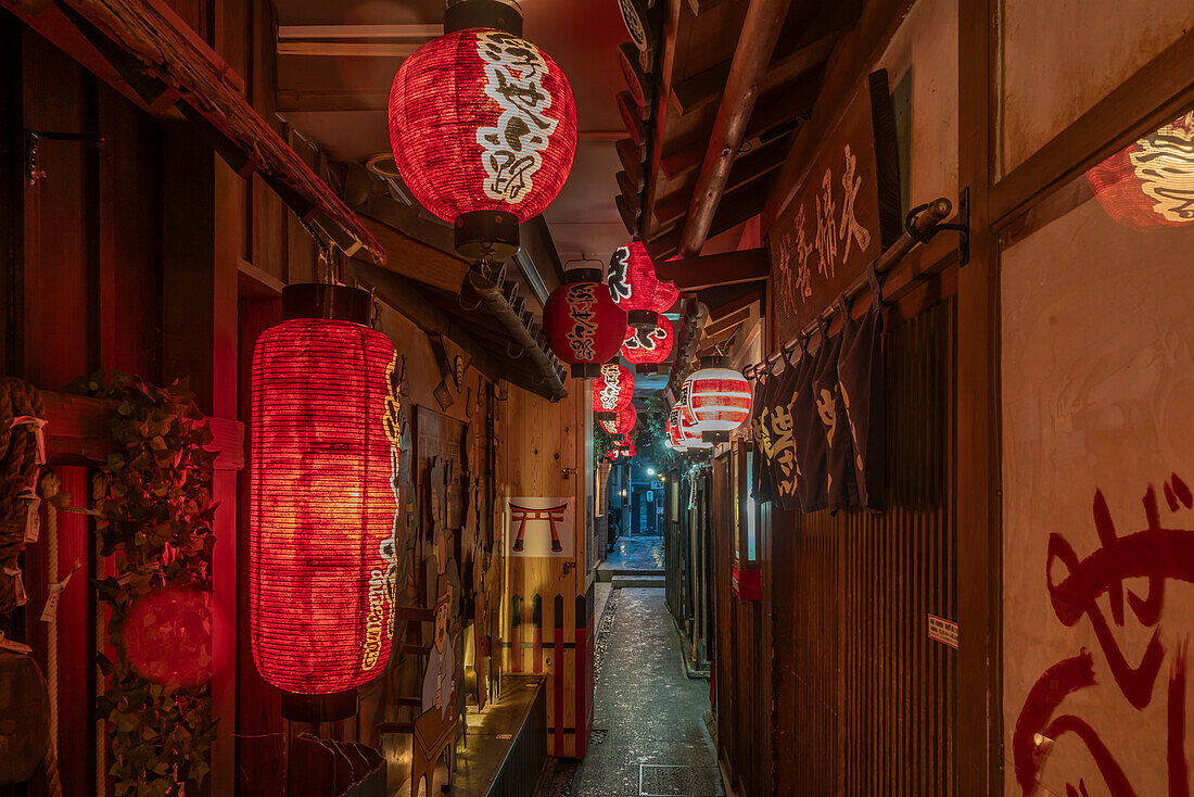 Blick auf japanische Laternen in einer dunklen Gasse in Dotonbori, einem pulsierenden Vergnügungsviertel in der Nähe des Flusses, Osaka, Honshu, Japan