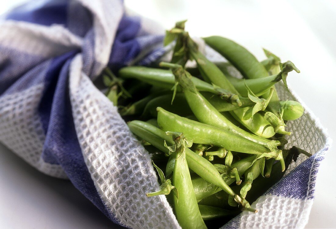 Young pea pods in checked kitchen cloth