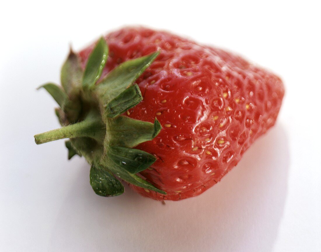 A strawberry with stalk