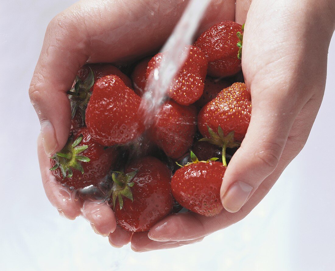 Erdbeeren mit den Händen waschen