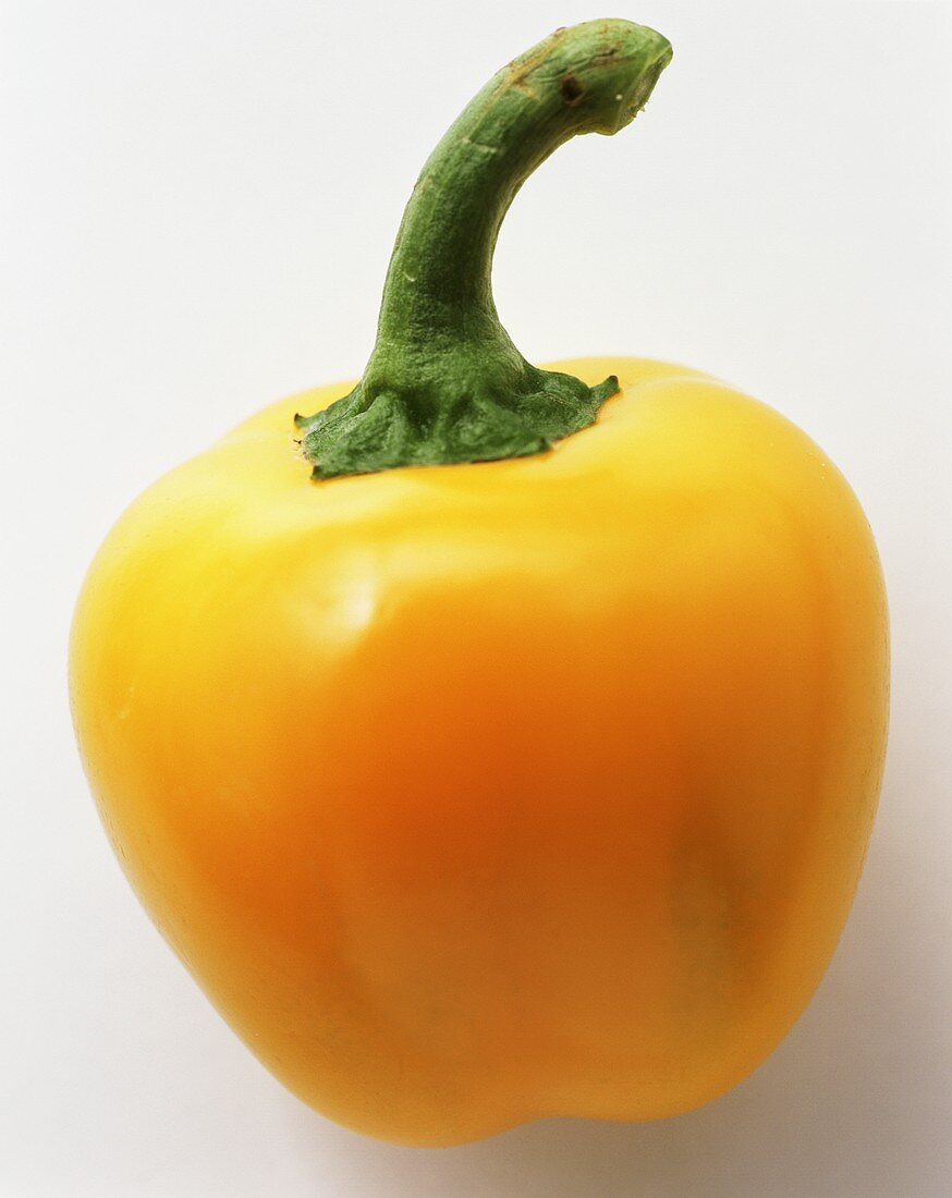 A yellow mini-pepper