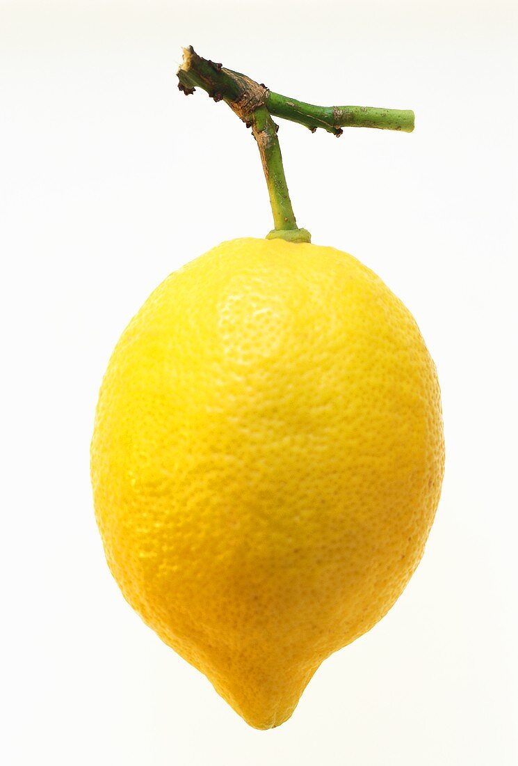 A whole lemon with stalk